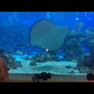 Meet your Posher, Cindy